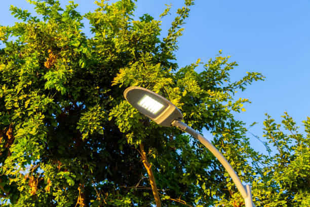 Street LED lamp
