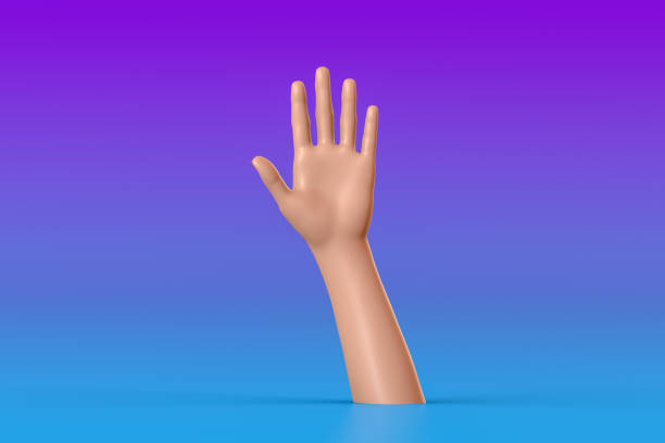 istock 3D Hand Gesture, Female Mannequin, Open Palm 1176713747