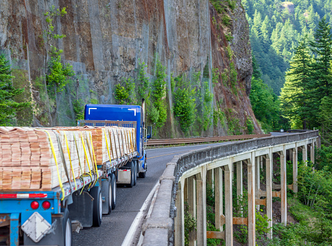 Big rig blue classic American bonnet semi truck with tall pipes transporting secured by slings lumber wood on flat bed semi trailer driving on mountain bridge around the rock wall in Columbia Gorge