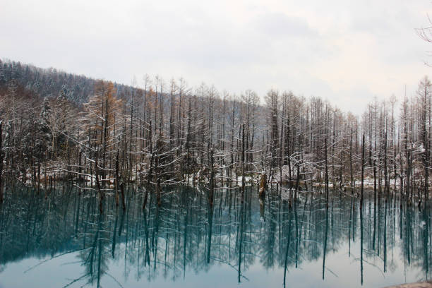 istock Blue pond in early winter Biei 1176717173