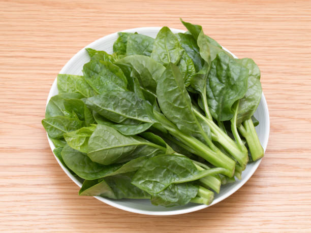 istock Japanese vegetable called 