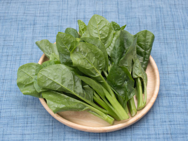 istock Japanese vegetable called 