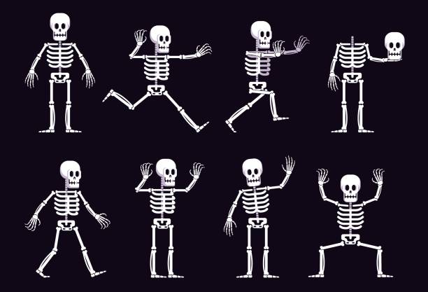 Halloween Cartoon Skeleton In Different Position Stock Illustration - Download Image Now - Human Skeleton, Halloween, Running - iStock Halloween Cartoon Skeleton In Different Position Stock Illustration - Download Image Now - Human Skeleton, Halloween, Running - iStock