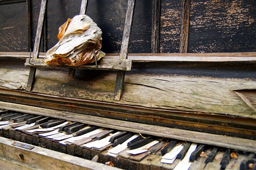 made of wood. old musical instruments
