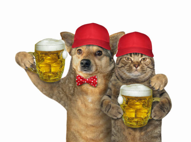 istock Cat and dog hold beer 1176722390