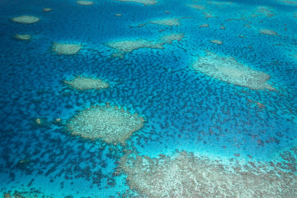Aerial view, Great Barrier Reef stock photo