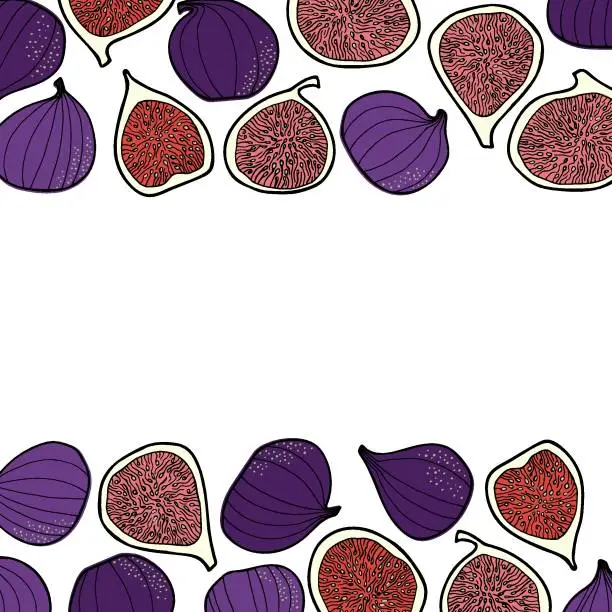 Vector illustration of Many figs isolated on white background. Vector frame with space for text.