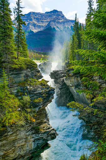 The powerful and picturesque Athabasca Falls tumbles down the gorge it has cut out. This Class 5 waterfall lies on the upper Athabasca River, just west of the Icefields Parkway, in Jasper National Park, Alberta, Canada. Mount Kerskelin lies in the background.