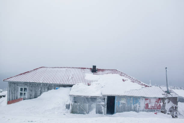 istock Rest place house in the winter forest 1176732114