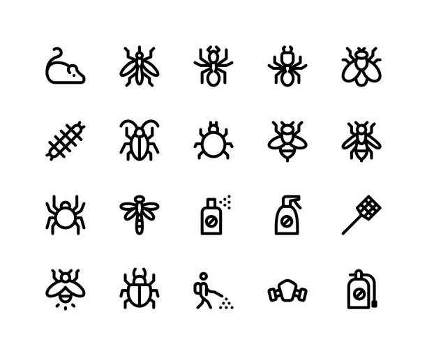 Pest Control Line Icons Simple Set of Pest Control Related Vector Line Icons. Contains such Icons as mouse, mosquito, ant, termite and More. pixel perfect vector icons based on 32px grid. Editable Strokes insect stock illustrations