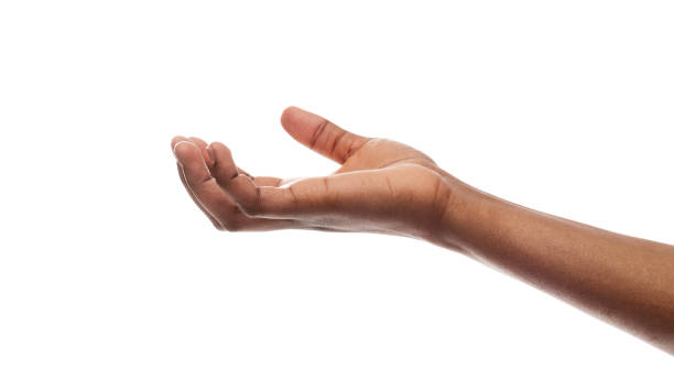 istock Afro female hand holding some invisible items on white background 1176740037