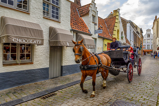 Traditional coach transportation in Bruges, Belgium. Bruges, the capital of West Flanders in northwest Belgium, is distinguished by its canals, cobbled streets and medieval buildings.