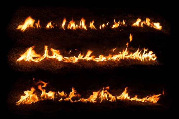 istock Set of Fire Flames design elements isolated on black background 1176745282