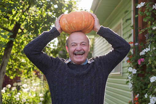 Senior happy hispanic man holding a pumpkin in hands. Choose a pumpkin for Halloween in the garden.