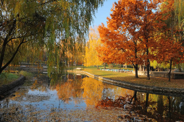 istock Beautiful autumn park 1176745688