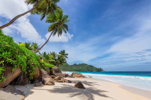 istock Beautiful sunny beach on Paradise tropical island. 1176746511