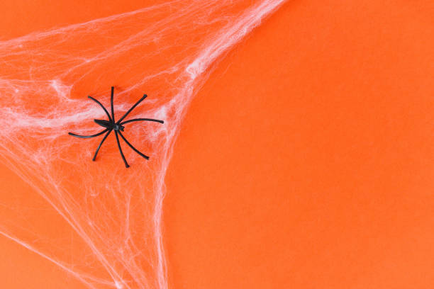 istock halloween background with spider web and black spider on orange decorations holidays festive for party accessories object 1176747065
