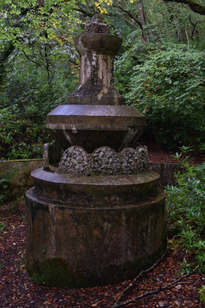 istock Fountain at the abandoned Tivoli Park Lerryn 1176754301