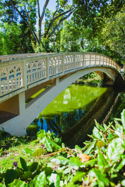 istock A bridge over a small pond in a portuguese park 1176754688