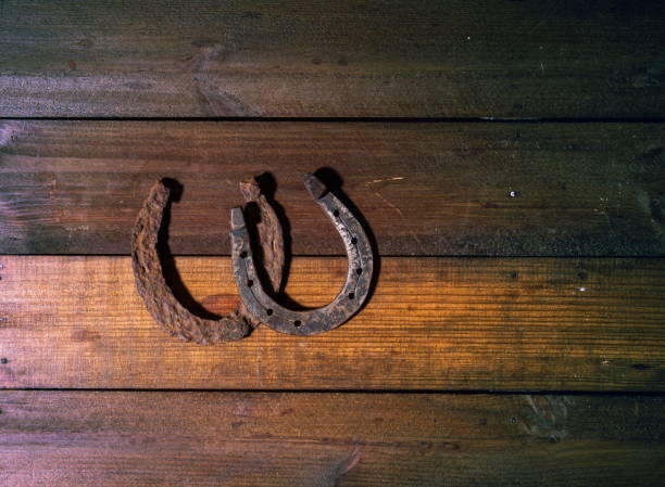 istock Horse Shoe wooden 1176754849