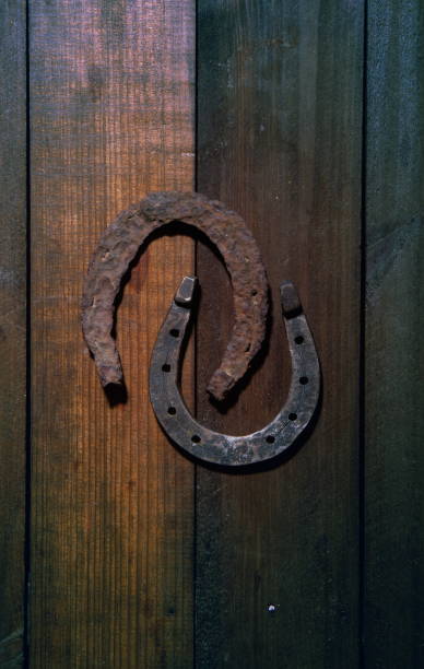 istock Horse Shoe wooden 1176754901