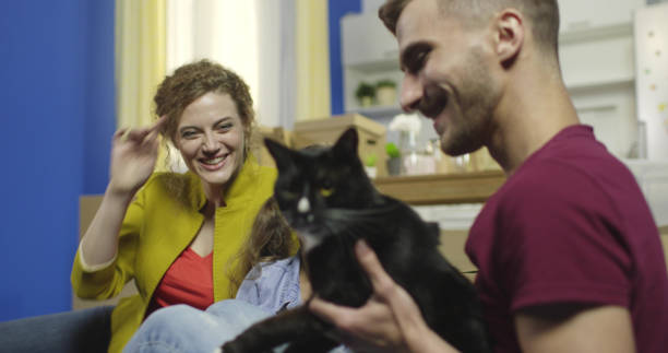 istock Happy family plays with cat at home 1176755566