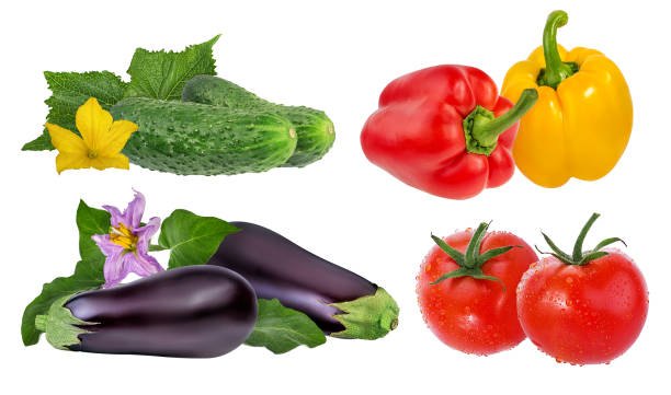 istock tomato,eggplant,pepper and cucumber  isolated on white 1176756051