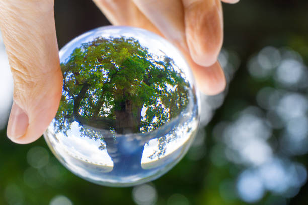istock Glimpse through the glass ball - old single oak tree 1176757423
