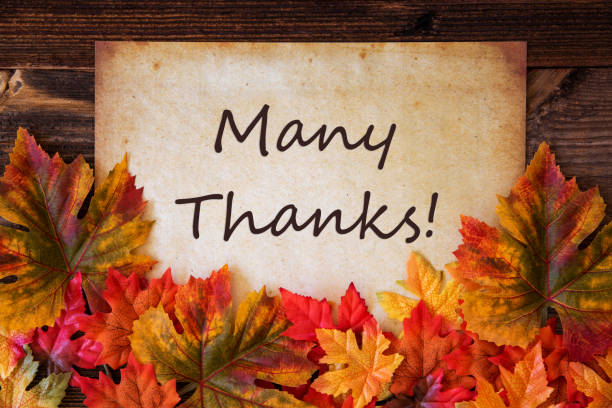 istock Grungy Old Paper, Colorful Leaves, Text Many Thanks 1176757835