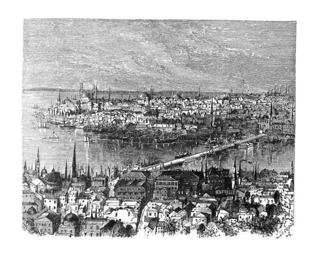 Antique illustration - 1878 Geography - Constantinople Antique illustration нативное маточное молочко stock illustrations