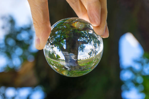 istock Glimpse through the glass ball - old single oak tree 1176760123