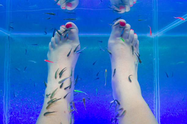 istock Fish Garra rufa in the aquarium treated feet 1176760902