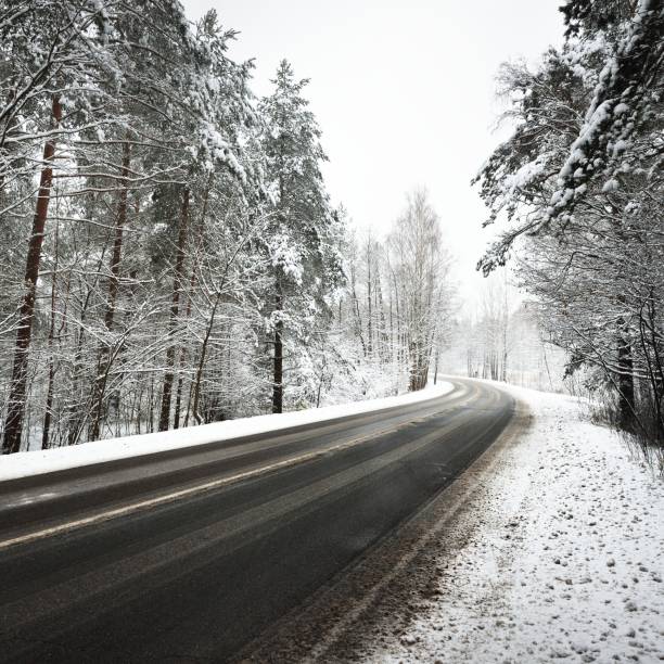 istock Curved asphalt road in a forest covered with snow in Latvia 1176764172
