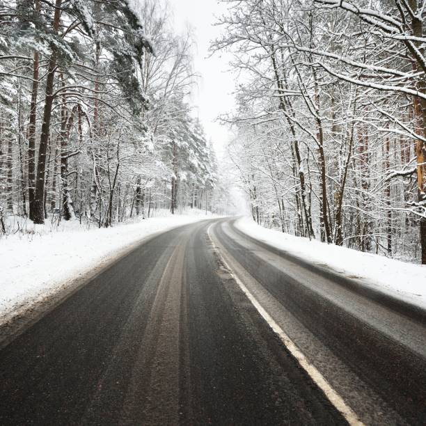 istock Curved asphalt road in a forest covered with snow in Latvia 1176764176