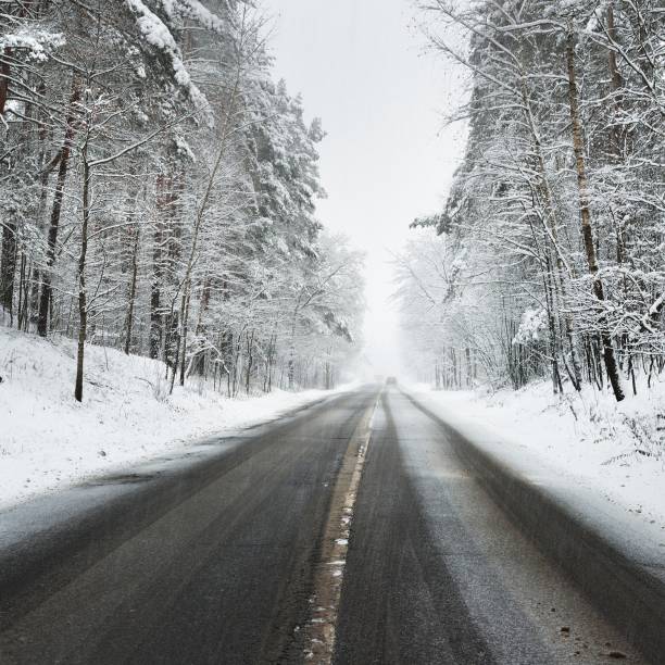 istock Straight asphalt road in a forest during snowfall in Latvia 1176764192