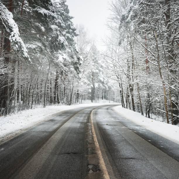 istock Curved asphalt road in a forest covered with snow in Latvia 1176764198