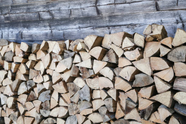 istock Wood pile prepared for winter 1176766255