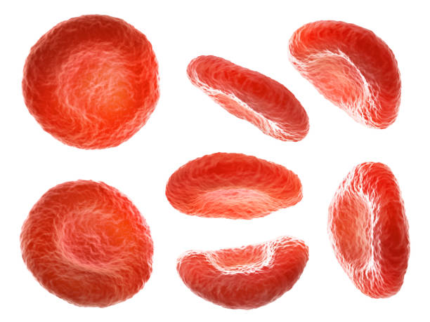 Red Blood Cells Pictures | Download Free Images on Unsplash