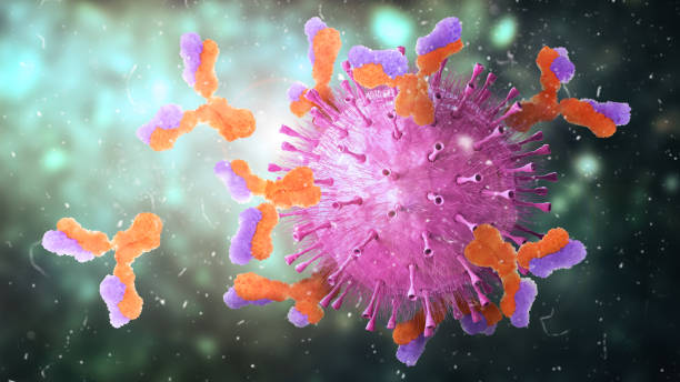 微生物 学。抗体はウイルスを攻撃する。3dイラスト - immunology ストックフォトと画像