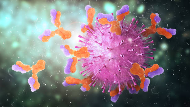 istock Microbiology. Antibodies attack virus. 3d illustration 1176767785