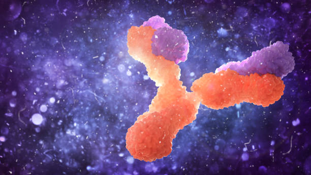 immunité. anticorps sur un fond flou. illustration 3d - cell cancer cell bacterium human cell photos et images de collection