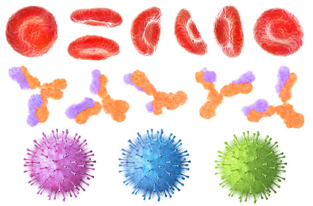 microbiología. virus entre las células sanguíneas en el fondo de la arteria. ilustración 3d - antibody human immune system antigen microbiology fotografías e imágenes de stock