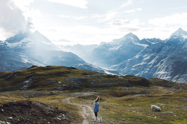 스위스 알프스에서 밝은 여름날을 즐기는 여성과 개 - switzerland mountain european alps panoramic 뉴스 사진 이미지