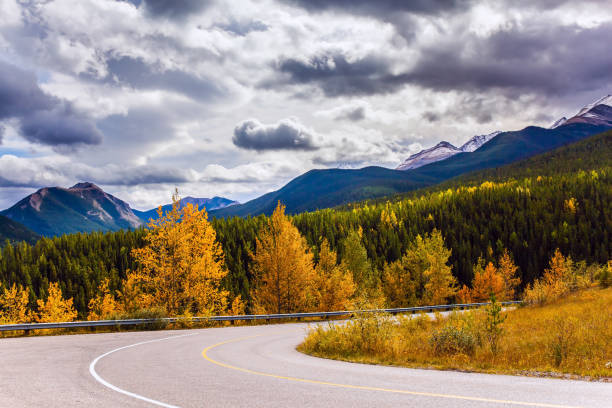 istock Aspens and birches adorn the mountains 1176770856