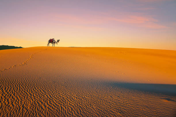 istock Sleek camel, decorated with garlands 1176770939
