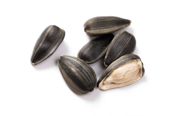 istock Organic Sunflower seeds isolated on white background 1176771734
