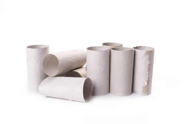 istock empty paper toilet rolls on white background 1176771859