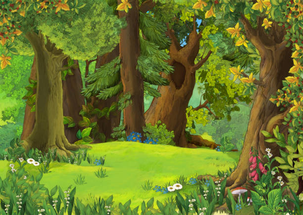 illustrations, cliparts, dessins animés et icônes de scène d'été de dessin animé avec le pré dans la forêt - nobody tranquil scene nature park