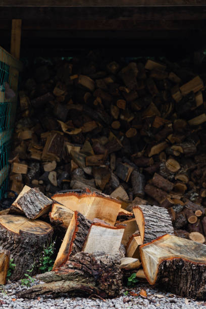 istock Freshly chopped logs in log store 1176774666