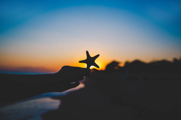 istock Woman hand holding Starfish over sunset 1176775456